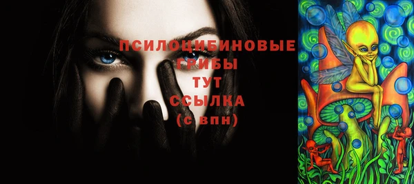 гидра Абдулино