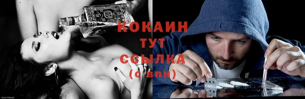 ПСИЛОЦИБИНОВЫЕ ГРИБЫ Осинники