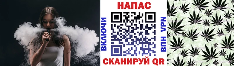 Конопля гибрид  закладки  Горячеводский 